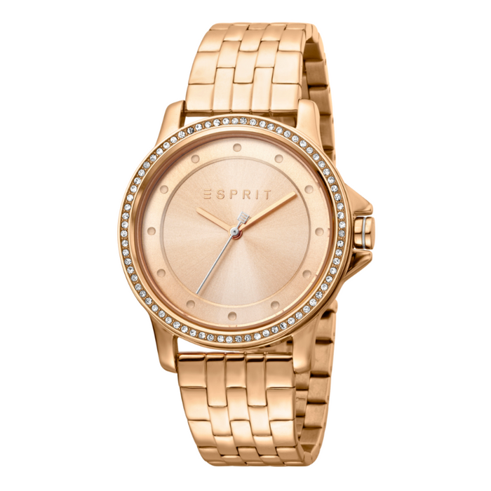 Esprit Stainless Steel Analog Women's Watch ES1L143M0085