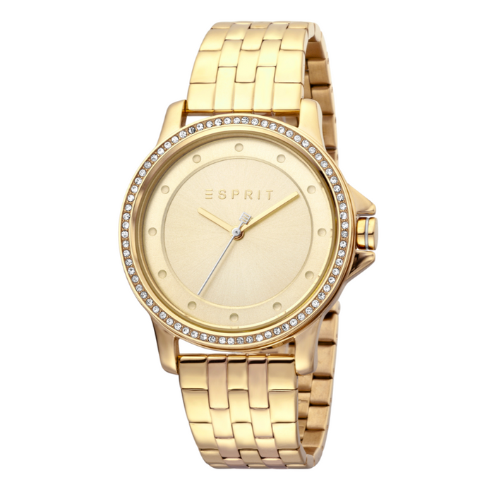 Esprit Stainless Steel Analog Women's Watch ES1L143M0075