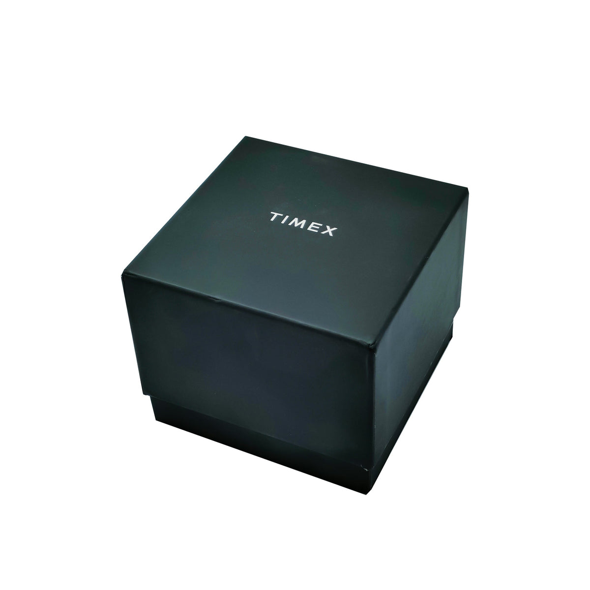 Timex Multi-Function Men's Watch TW2T35100