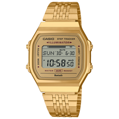 casio wave ceptor manual 3054 chm