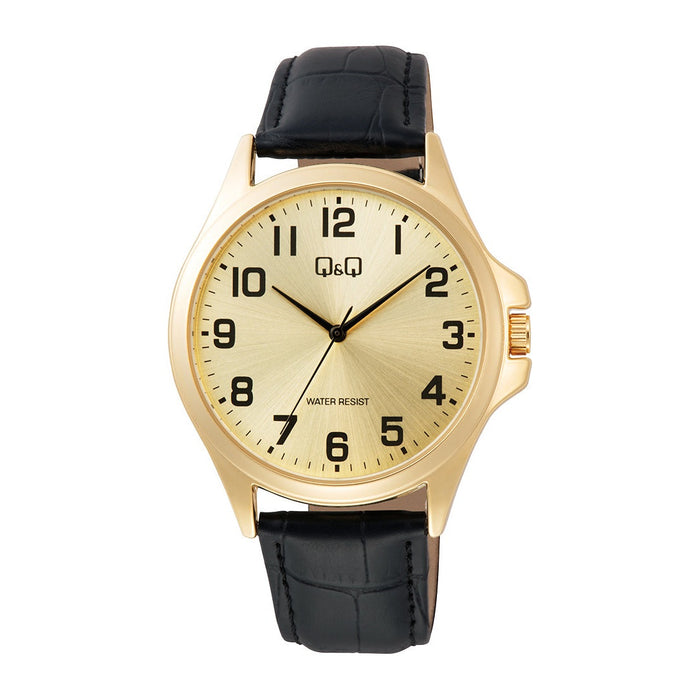 Q&Q C36A-011PY Men Watch