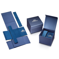 Festina Timeless Chronograph F20542/5 Men Watch