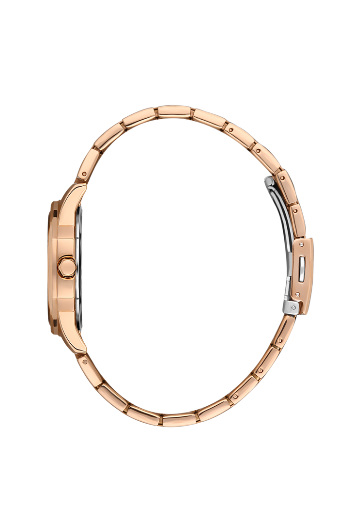 Daniel Klein DK.1.13466-5 Women Watch