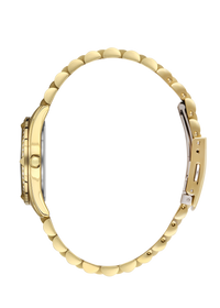 Daniel Klein DK.1.13488-2 Women Watch