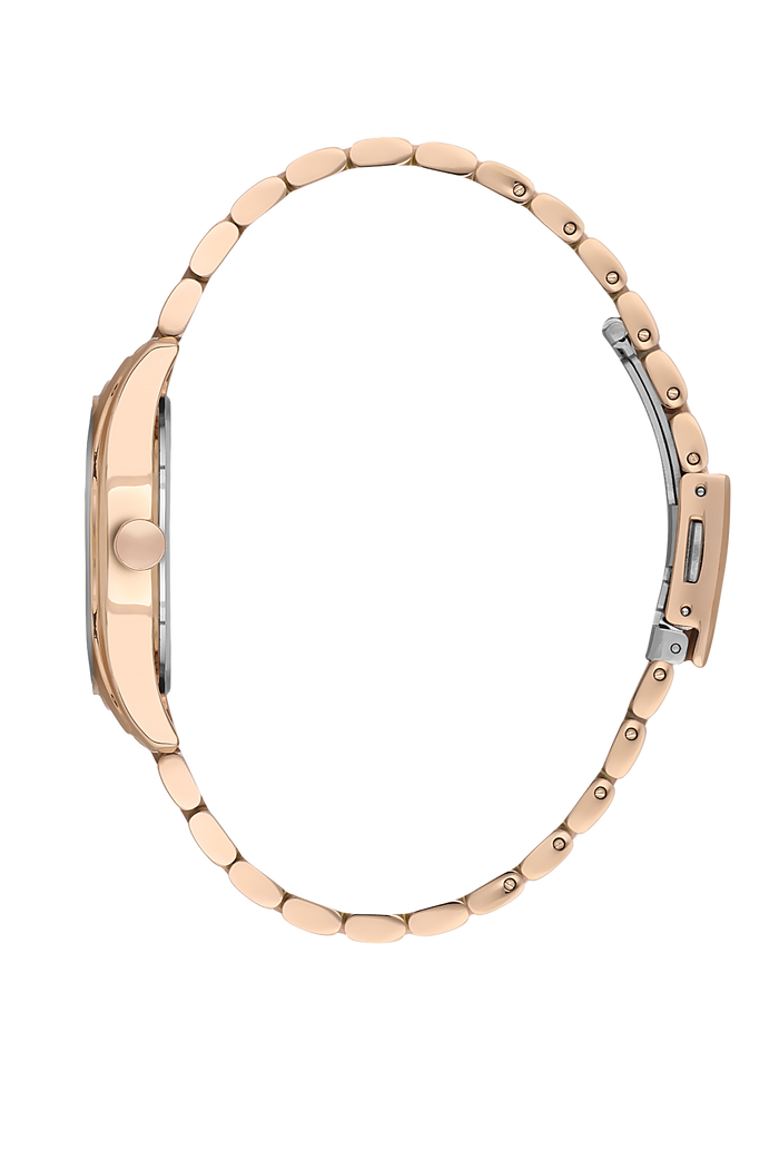 Daniel Klein DK.1.13608-5 Women Watch