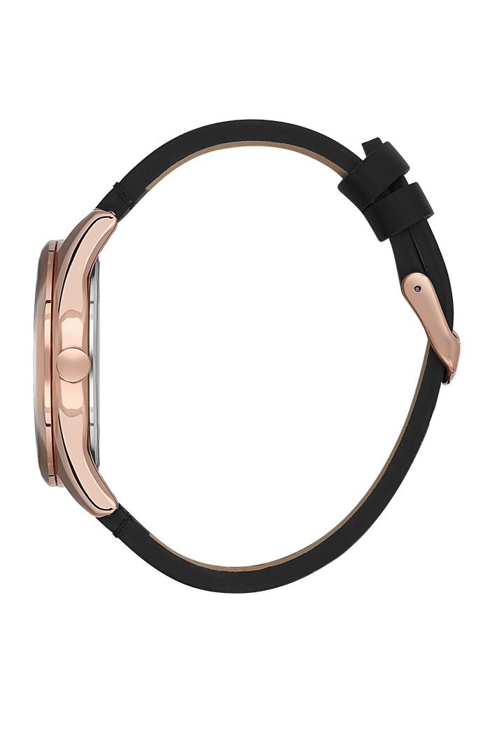 Daniel Klein DK.1.13666-3 Men Watch