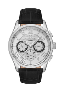 Daniel Klein DK.1.13676-1 Men Watch