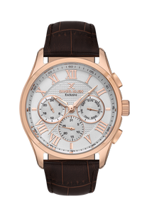 Daniel Klein DK.1.13676-3 Men Watch