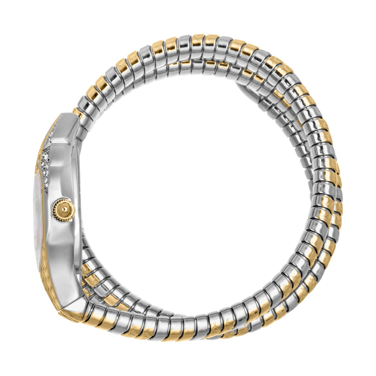 Just Cavalli Women's Watch JC1L193M0055