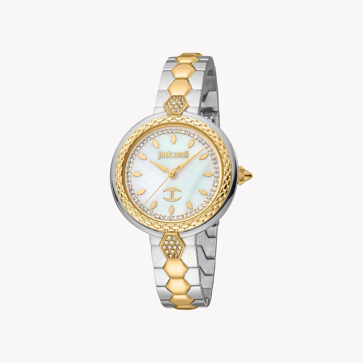 Just Cavalli Women's Watch JC1L205M0085