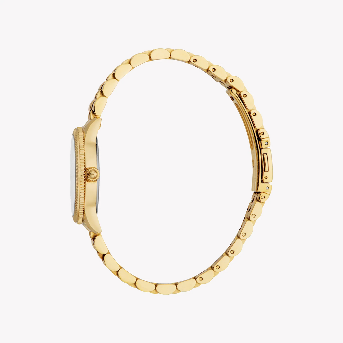 Just Cavalli Women's Watch JC1L315M0055