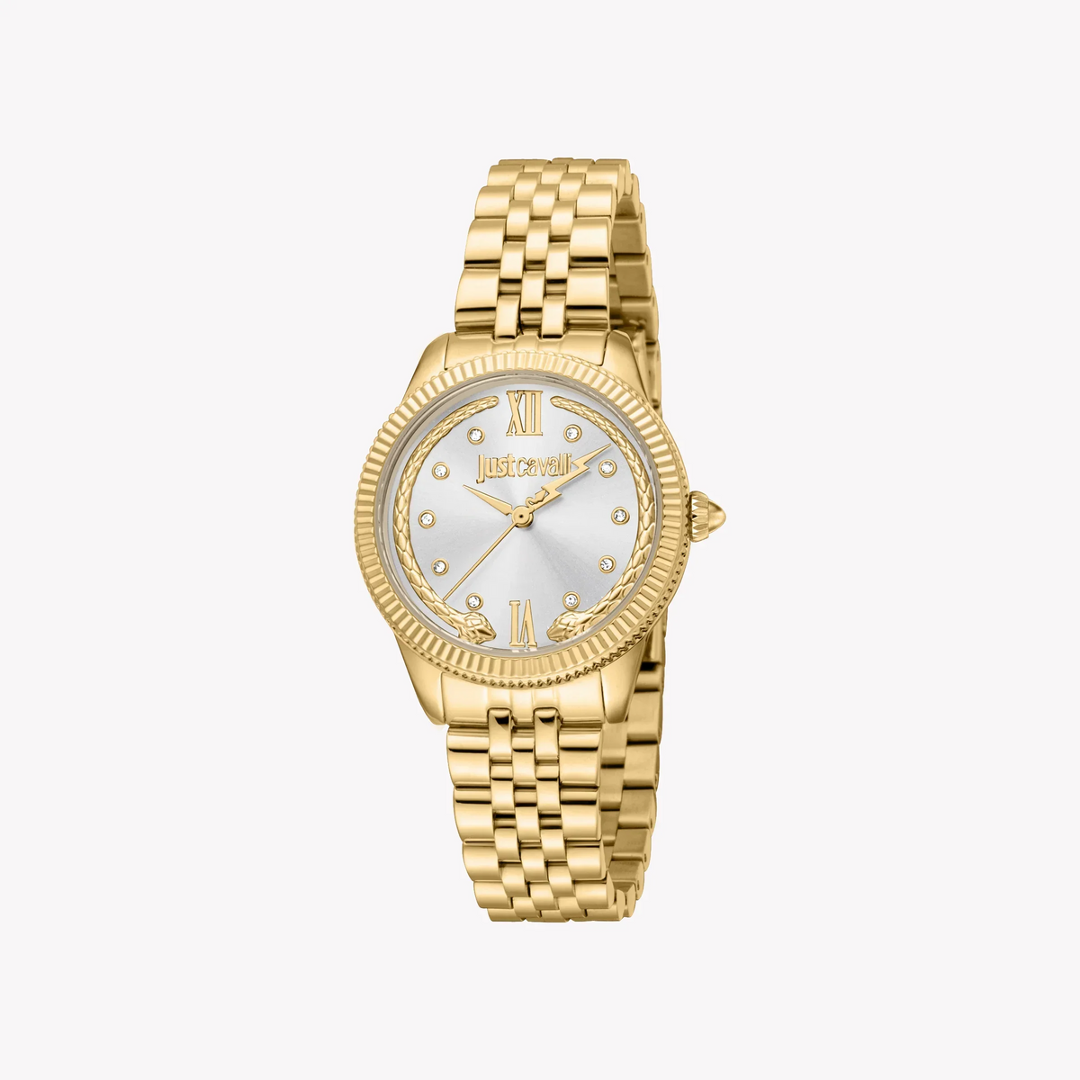 Just Cavalli Women's Watch JC1L315M0055