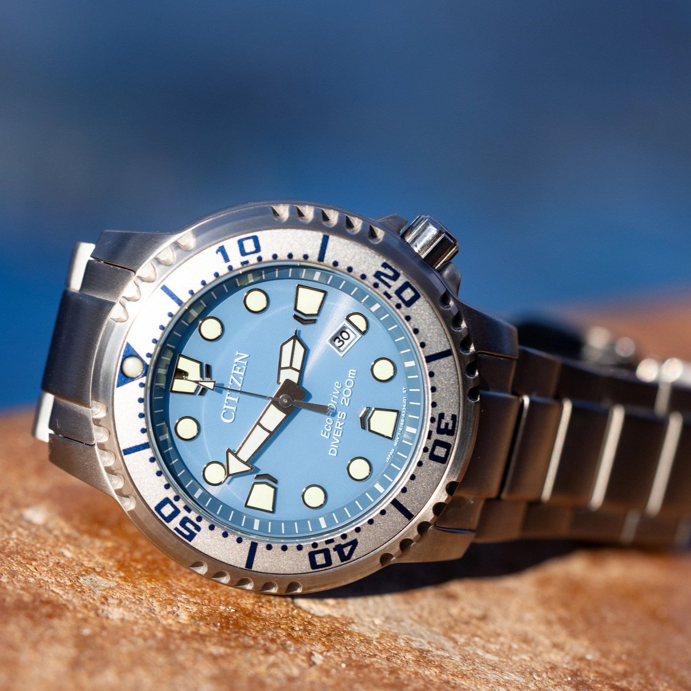 CITIZEN BN0165-55L Promaster Marine Diver 200M – GC Shop Egypt