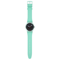SWATCH HINT OF MINT SO29L103