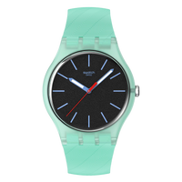 SWATCH HINT OF MINT SO29L103
