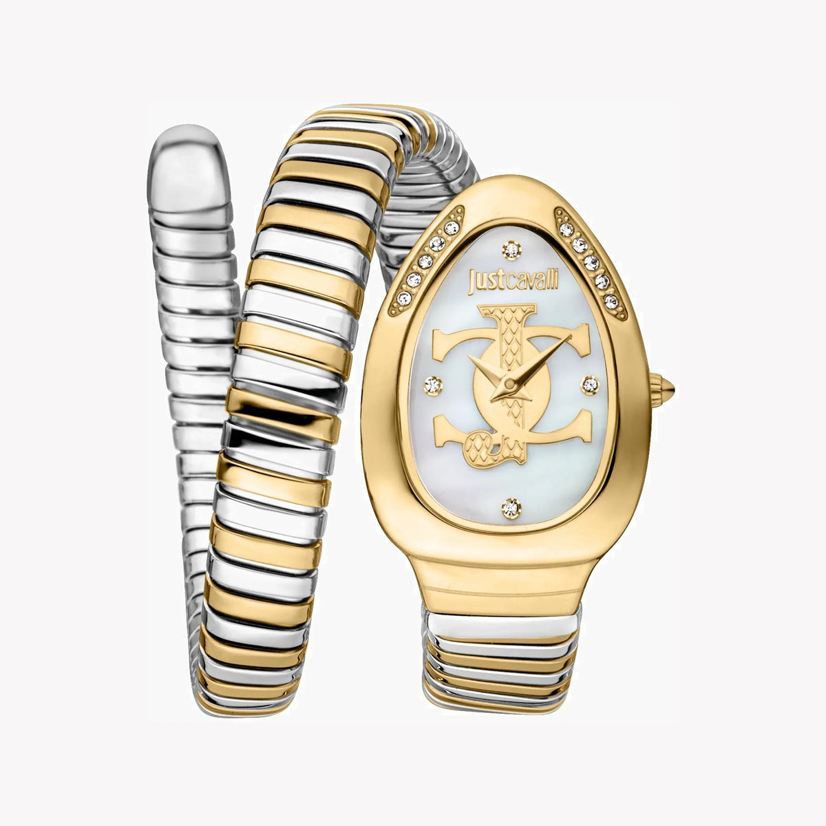 Just Cavalli Women's Watch JC1L227M0065
