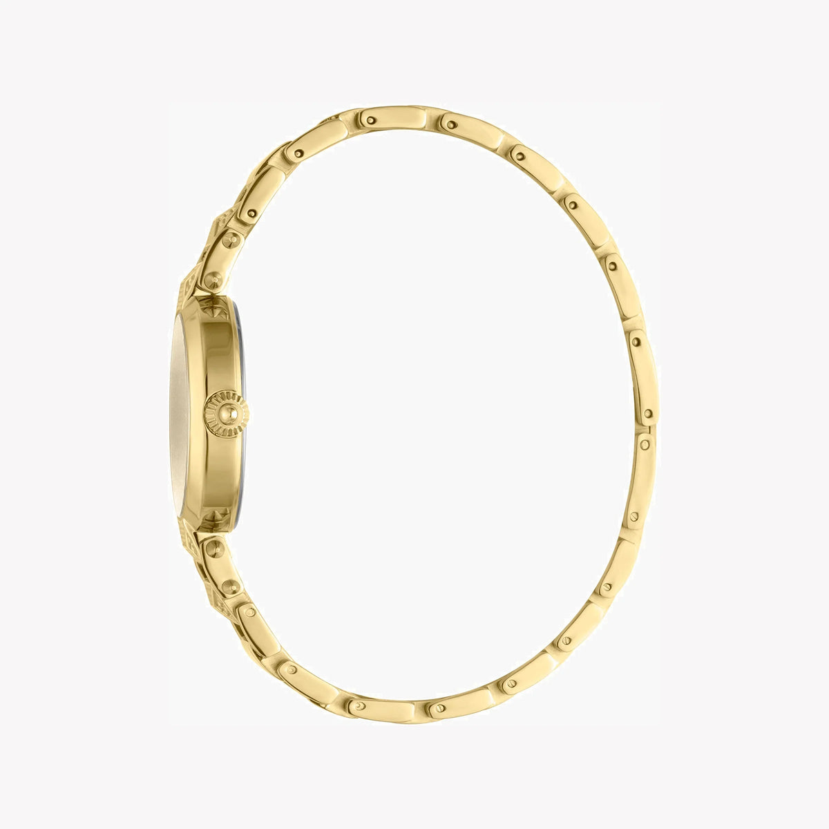 Just Cavalli Women's Watch JC1L076M0095
