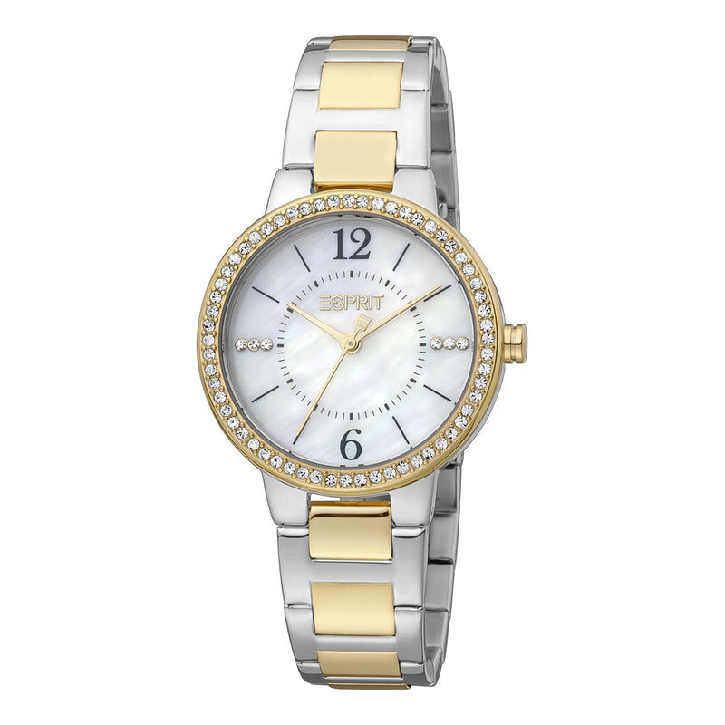 Esprit Stainless Steel Analog Women's Watch ES1L228M2095