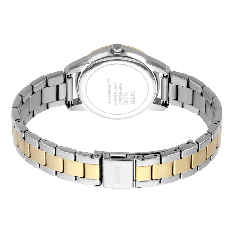 Esprit Stainless Steel Analog Women's Watch ES1L239M0095