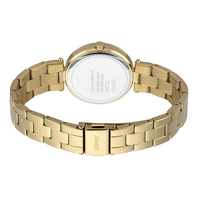 Esprit Stainless Steel Analog Women's Watch ES1L314M0055