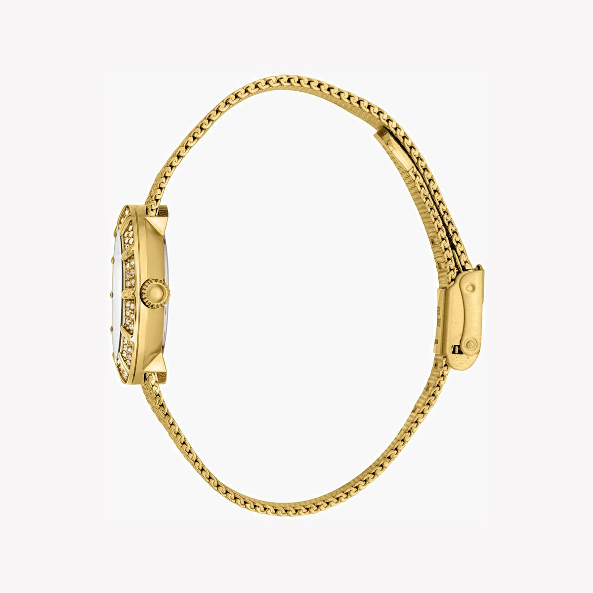 Just Cavalli Women's Watch JC1L253M0055