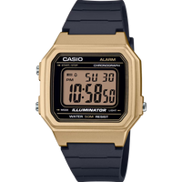 CASIO W-217HM-9AVDF Men Watch