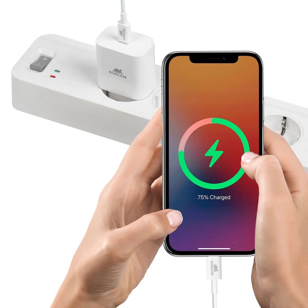 RIVACASE PS4101 WD4 EU wall charger white 20W PD 3.0/ 1 USB-C, with USB-C/USB-C cable