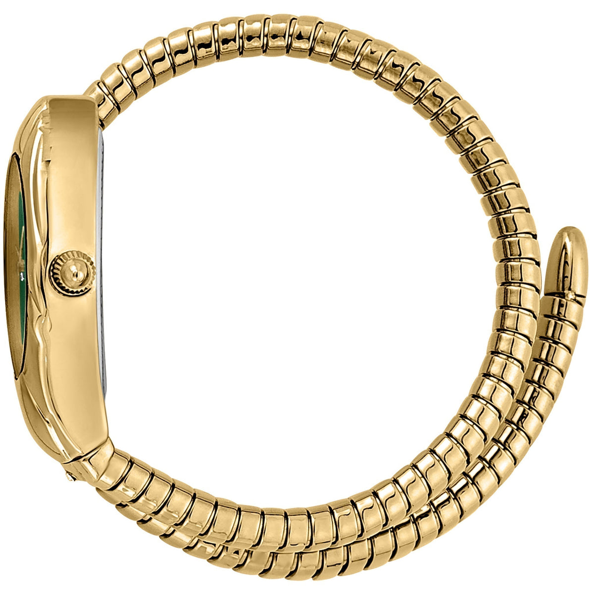 Just Cavalli Women's Watch JC1L182M0015