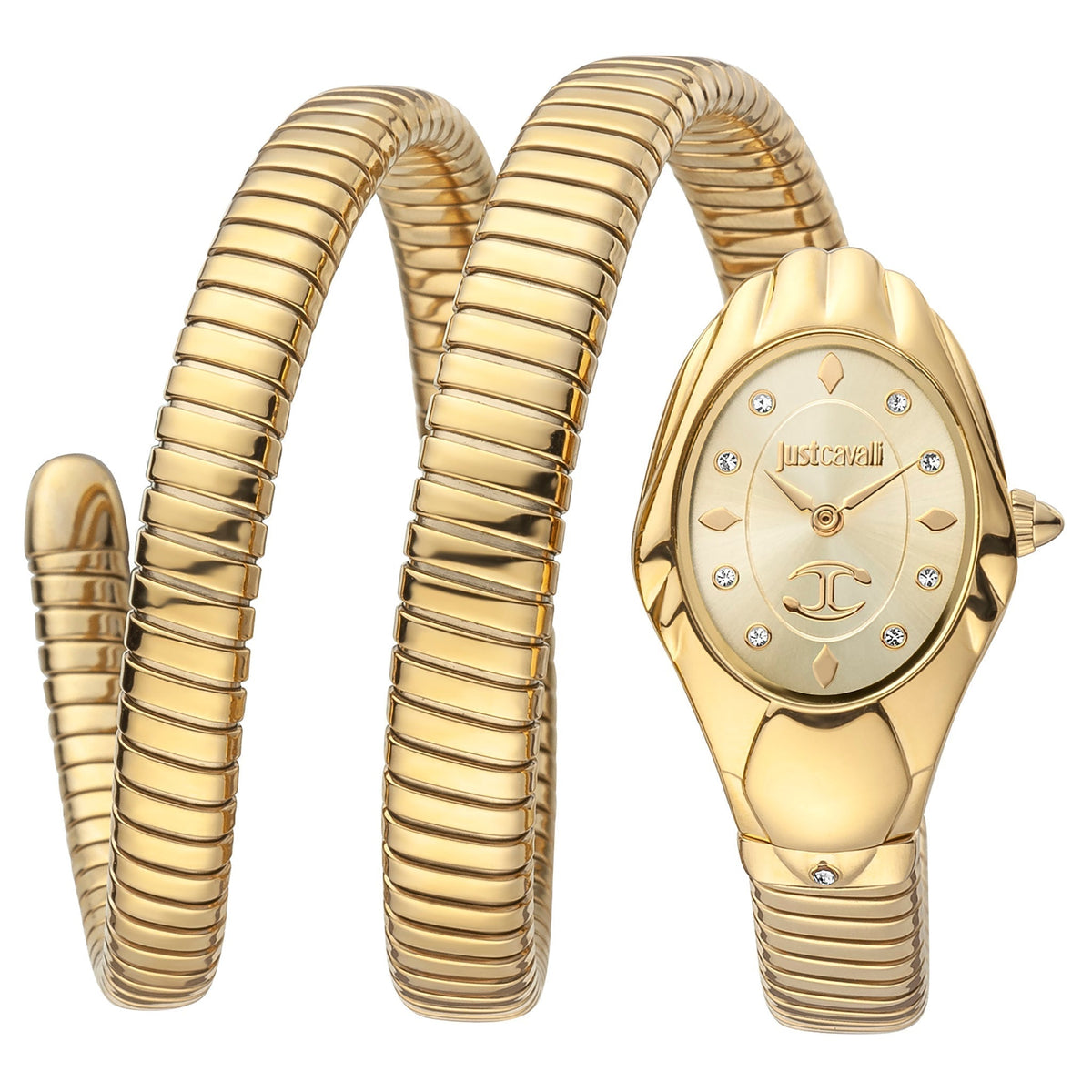 Just Cavalli Women's Watch JC1L184M0025