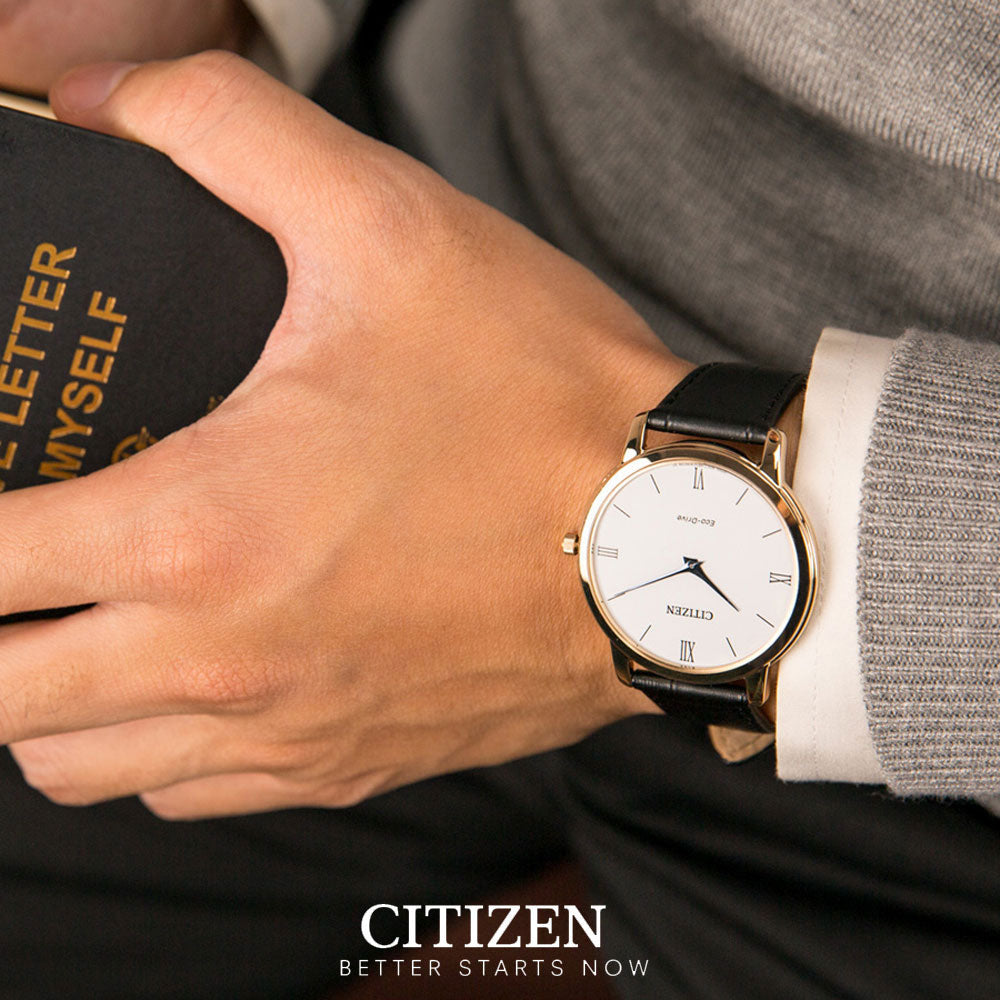 Citizen ar1133 shop