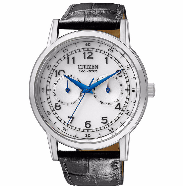 CITIZEN AO9000-06B Eco-Drive Multi Function Day & Date