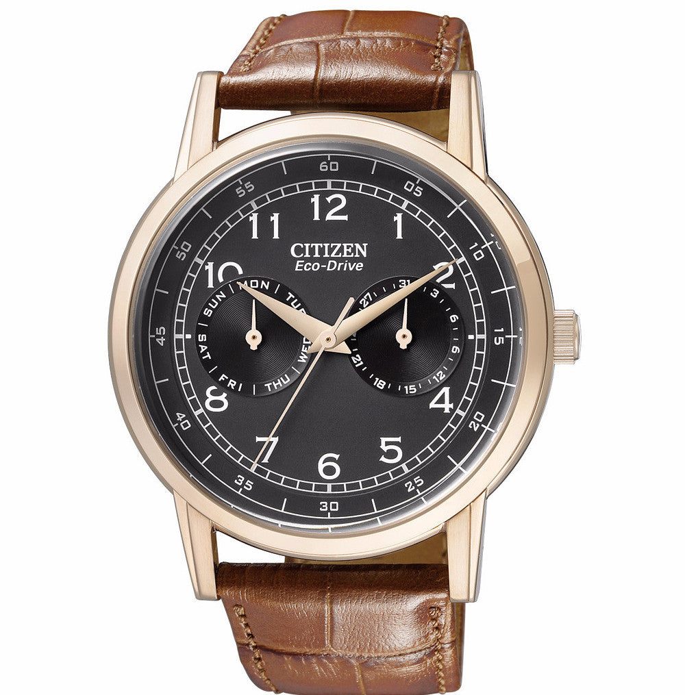 CITIZEN Watches Eco Drive GC Stores Official Agent GC Shop Egypt