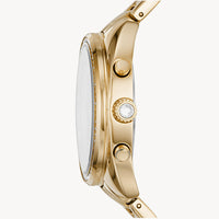FOSSIL VALE BQ3658