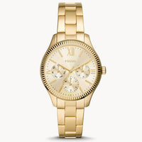 FOSSIL RYE BQ3692