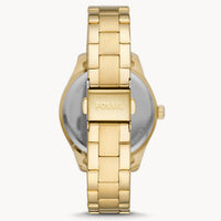 FOSSIL RYE BQ3692