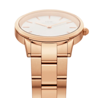 Iconic Link DW00600211